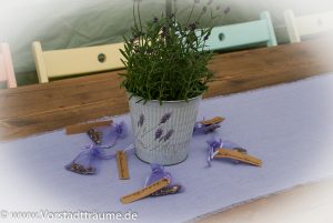 Gastgeschenk Samensäckchen