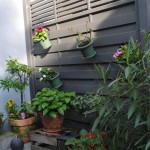 Terasse im Frühjahr 2013