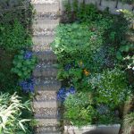 Schattenhang bepflanzen