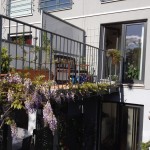 Brücke im Frühjahr 2014