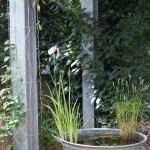 Terasse im Sommer 2015