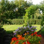 Brücke im Herbst 2015