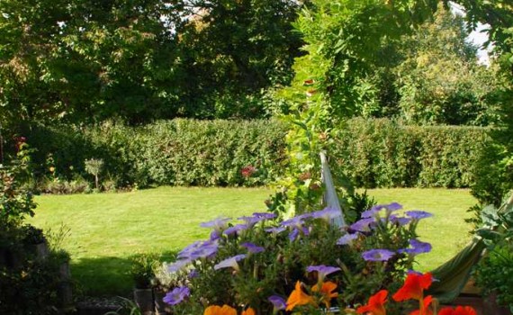 Brücke im Herbst 2015