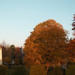 Strahlender Herbsttag