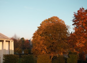 Strahlender Herbsttag