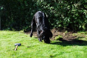 Abmessen-und-Abstechen