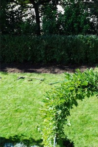 Rasen fertig abgestochen