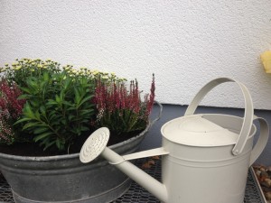 Bepflanzte Zinkwanne Herbst 2015