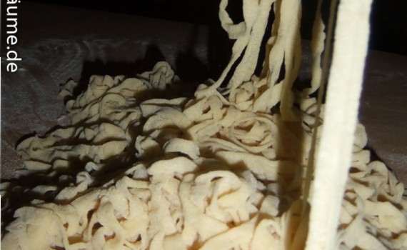 Pasta selber gemacht