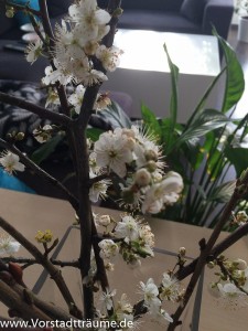 Blühende Zweige für die Vase