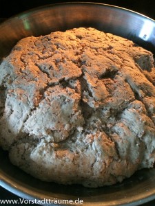 Vollkornbrotteig nach 3 Stunden gehen lassen