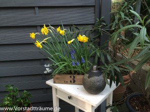 Tischschen (4 von 4)