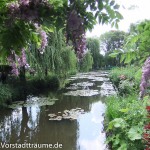 Blauregen in Claude Monet' s Garten