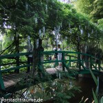Blauregen an einer Brücke in Claude Monet's Garten
