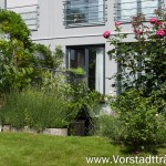 Der Garten hinterm Haus