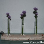 Birken Tischdekoration mit Vasen - Reagenzgläser