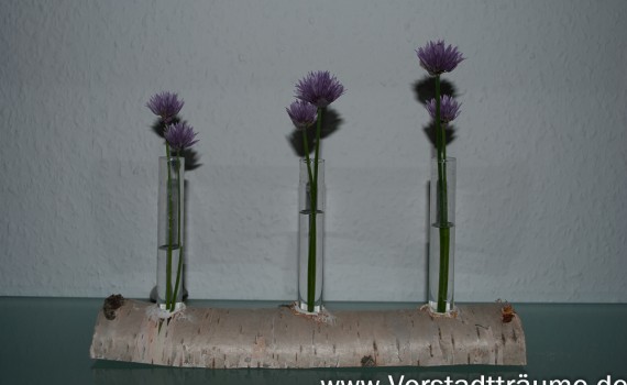 Birken Tischdekoration mit Vasen