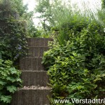 Der Hang wird immer grüner