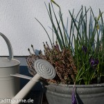 Zinkwanne im Frühjahr