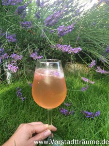 Sekt mit Lavendel Aufguss1