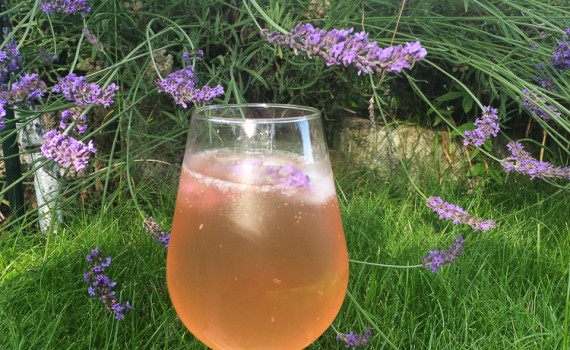Sekt mit Lavendel Aufguss1