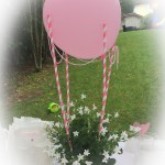 Glockenblume mit Heißluftballon