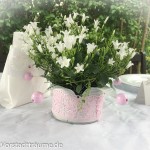 Glockblume in Kronenblumentopf