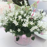 Glockenblume mit Namensgirlande