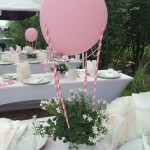 Glockenblume mit Heißluftballon