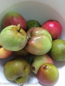 Äpfel Streuobst