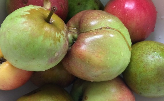 Äpfel Streuobst