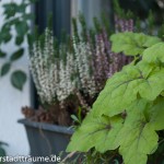 Der Herbst löst die Sommerblumen in den Kästen ab