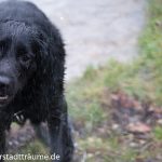 Mein erstes Bad im See im Dezember 2014