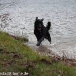 Mein erstes Bad im See im Dezember 2014