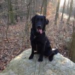 Überall kann man Posen