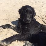 Relaxen an der Nordsee