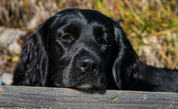 Relaxen nach einer Bergtour am Gipfel