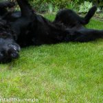 Ich liebe meinen Garten