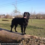 Immer hoch hinaus und gut aussehen