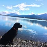 Herbsturlaub im Füssen