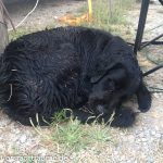 Nach dem Schwimmen im Mittelmeer