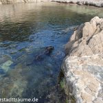 Schwimmen im Mittelmeer