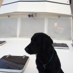 "Das ist mein Boot ;)"