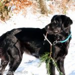 Der erste Schneespaziergang