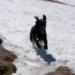Schnee im Sommerurlaub am Gotthard