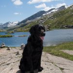 Kein Gipfel zu hoch: San Bernardino