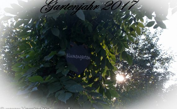 Gartenjahr2017