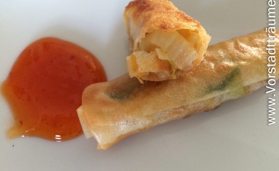 Veg. Frühlingsrollen