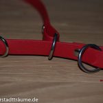 Der Verschluss des fertigen Biothane Halsbands