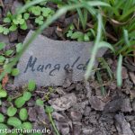 Samen im Beet kennzeichnen